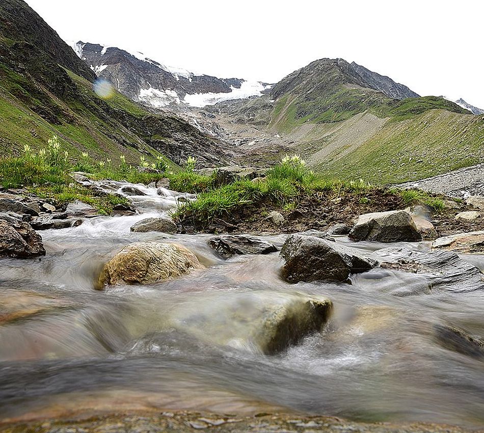 Trail running circuit